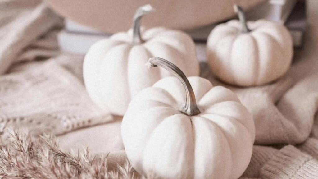 Three matte white mini pumpkins arranged on a cream knit sweater with dried pampas grass in the foreground, neutral fall decor styling