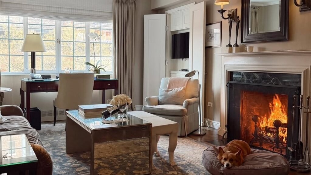 A corgi resting on its own dog bed beside a lit fireplace in a cozy living room