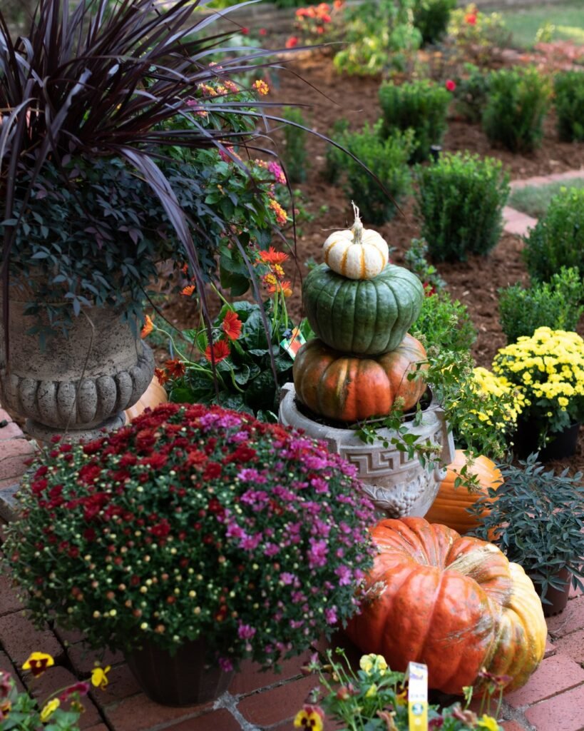 Stacked white, green, and orange pumpkins with red and pink mums layered in a stone garden urn for a fall planter display