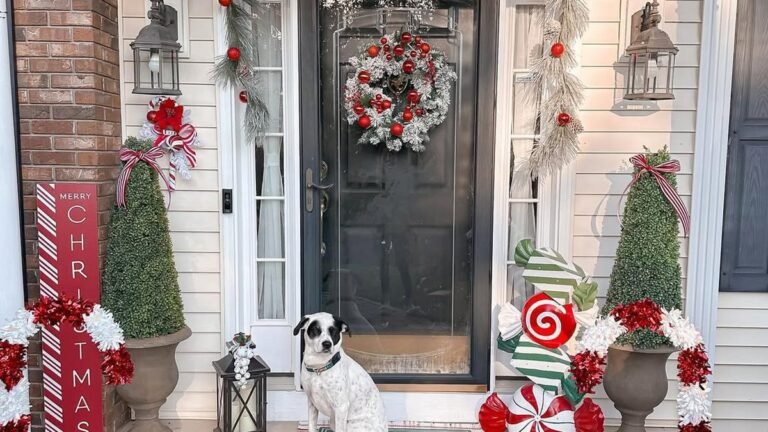 Front porch decorated for Christmas with a red berry wreath on a black door, flanked by boxwood topiaries, candy cane decor, and a black and white dog sitting on a doormat.